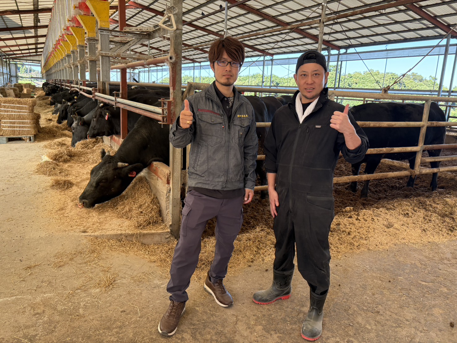 えいとまん牧場1